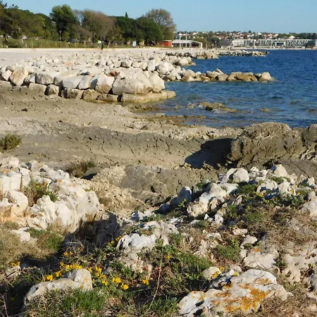 House Monika Апартаменти Пореч