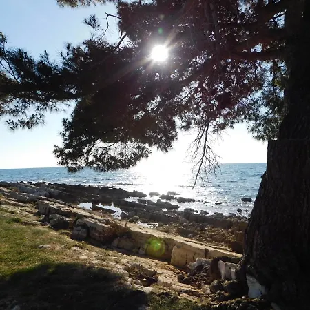 Апартаменти House Monika *