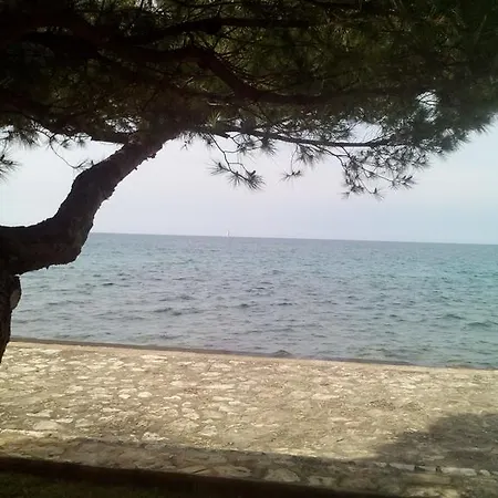 House Monika Apartman Porec