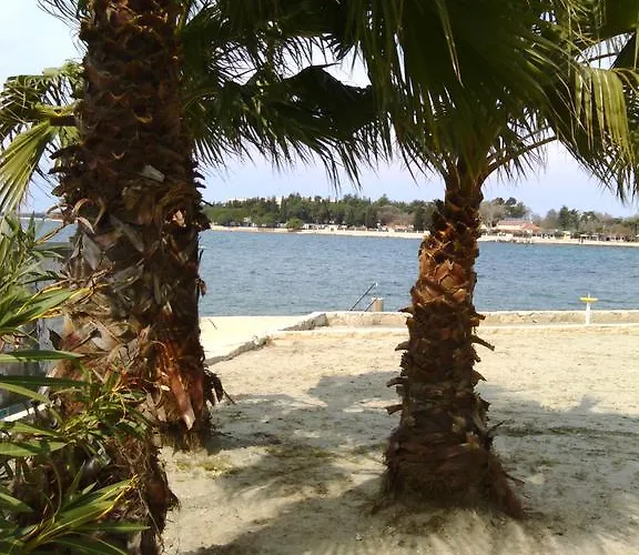 Apartman House Monika