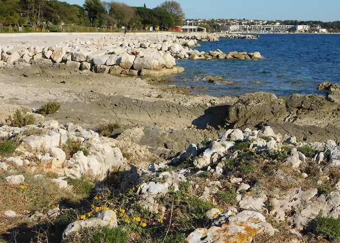 House Monika Appartamento Porec