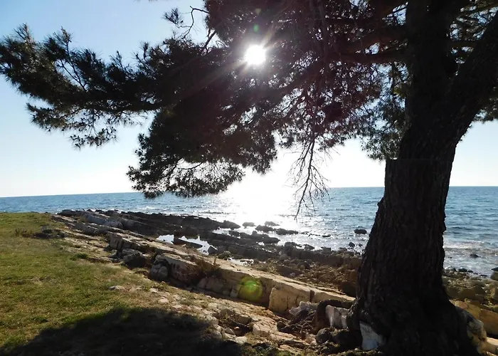 Apartman House Monika *